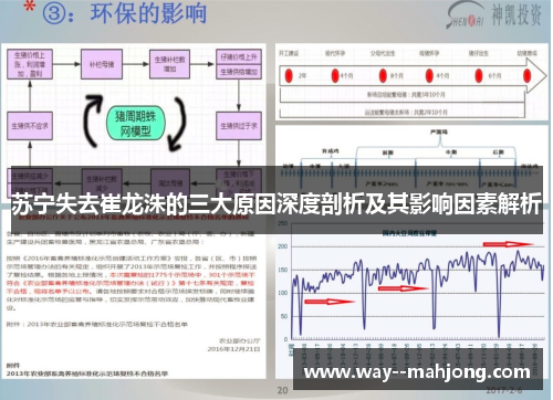 苏宁失去崔龙洙的三大原因深度剖析及其影响因素解析