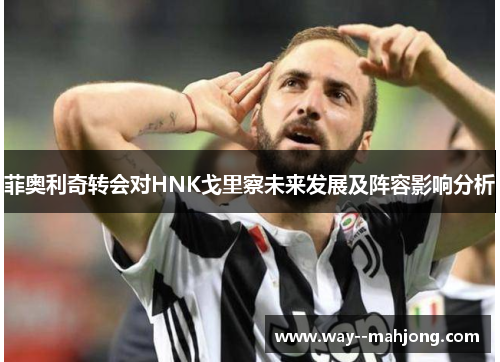 菲奥利奇转会对HNK戈里察未来发展及阵容影响分析