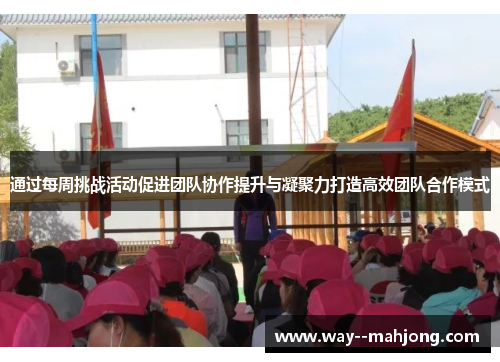 通过每周挑战活动促进团队协作提升与凝聚力打造高效团队合作模式