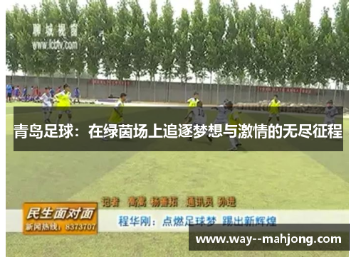 青岛足球：在绿茵场上追逐梦想与激情的无尽征程