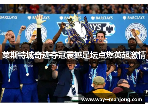 莱斯特城奇迹夺冠震撼足坛点燃英超激情
